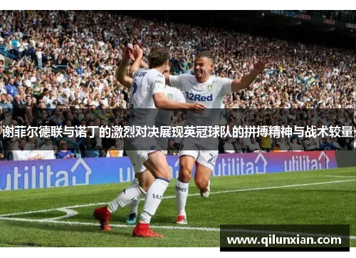 谢菲尔德联与诺丁的激烈对决展现英冠球队的拼搏精神与战术较量